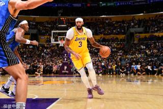 的职业生涯 的职业生涯